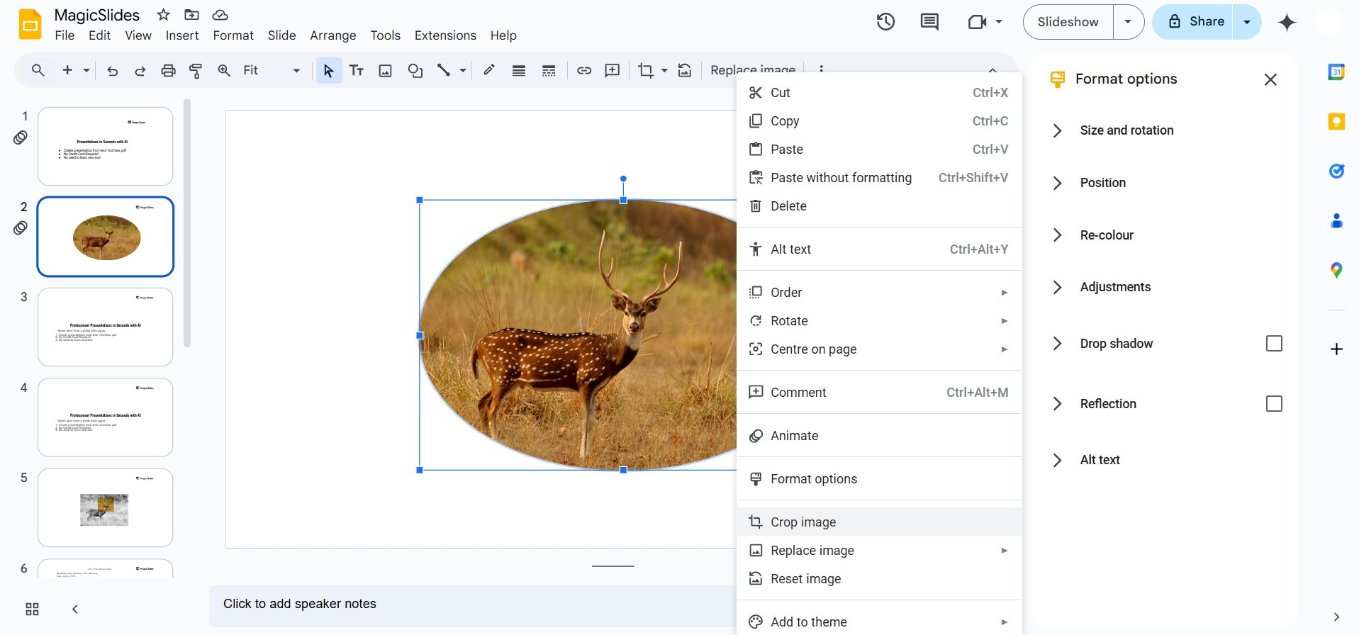 Notion image