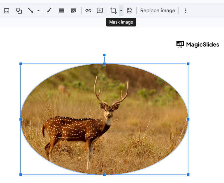 Notion image