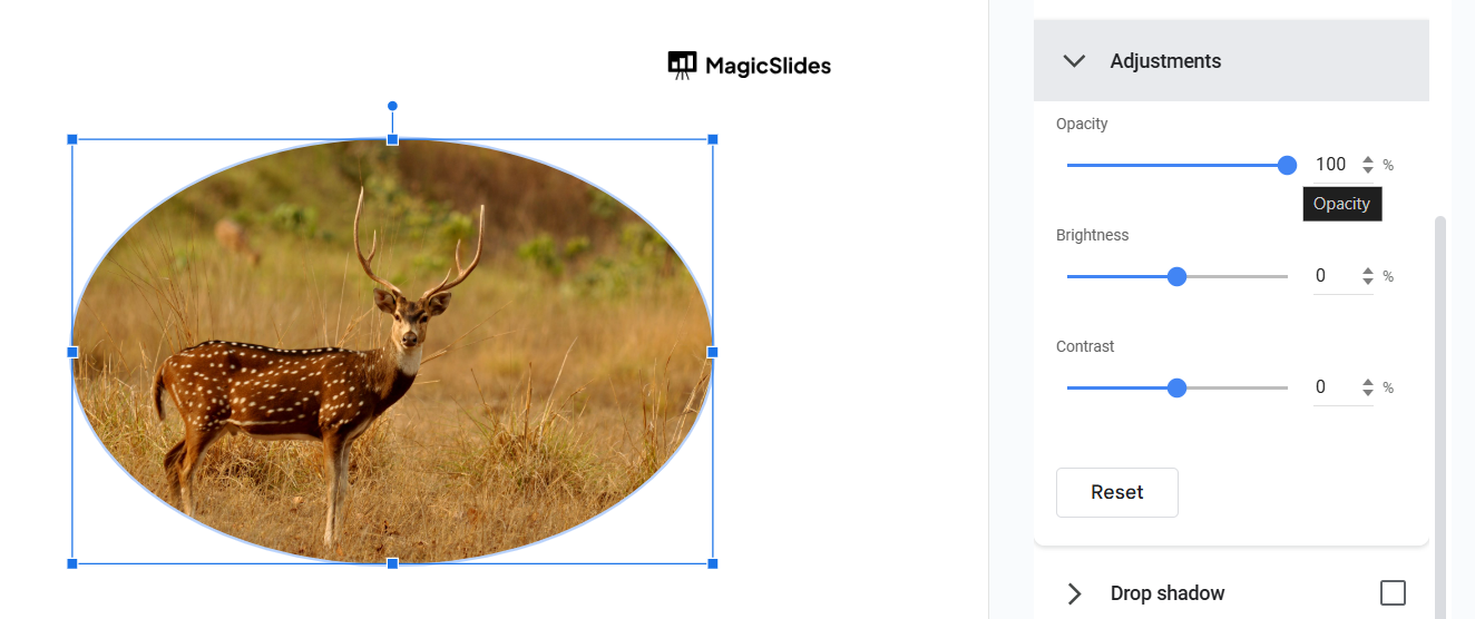 Notion image