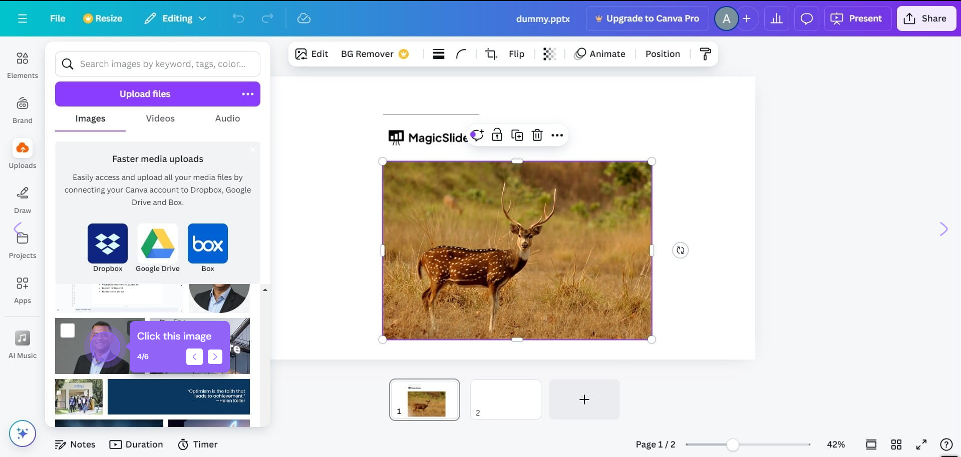 canva library