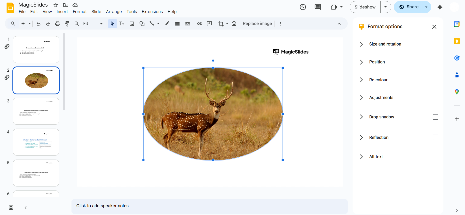 Notion image