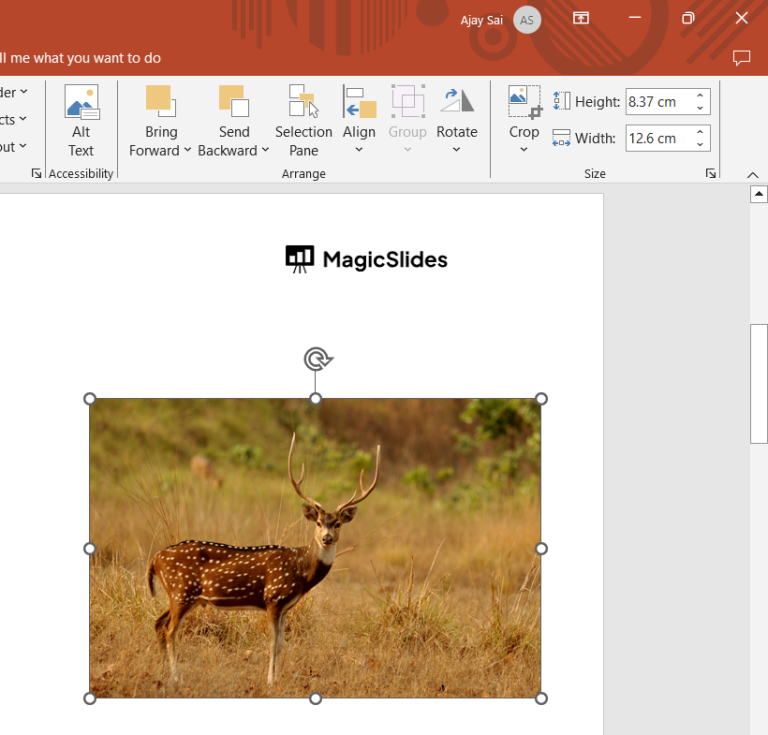 Powerpoint Highlight Element How to highlight part of a picture in PowerPoint - MagicSlides App